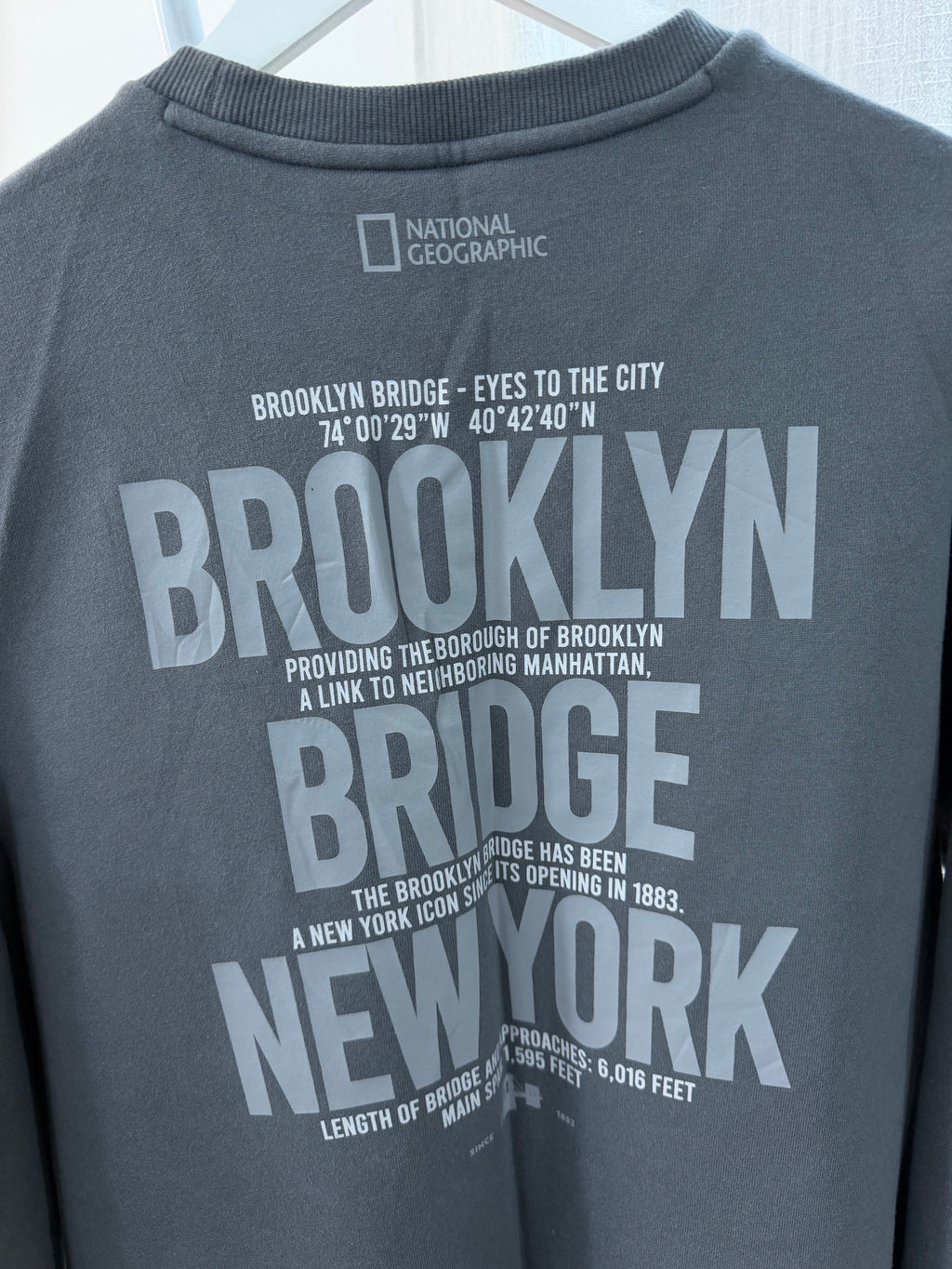 Ng grey sweatshirt