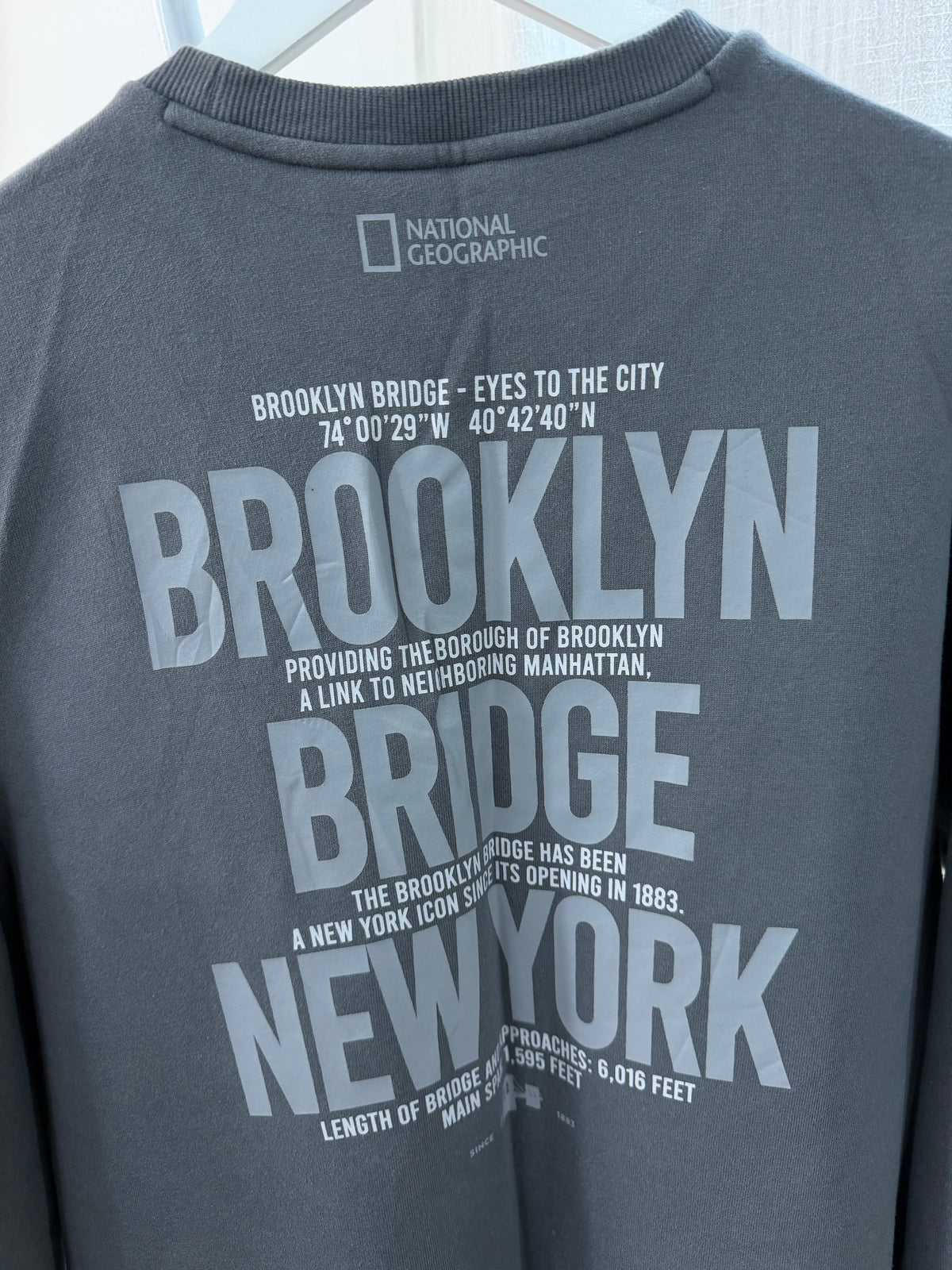 Ng grey sweatshirt