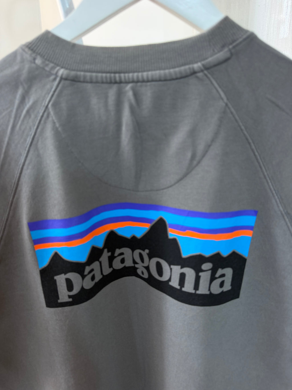 Patagonia grey sweatshirt