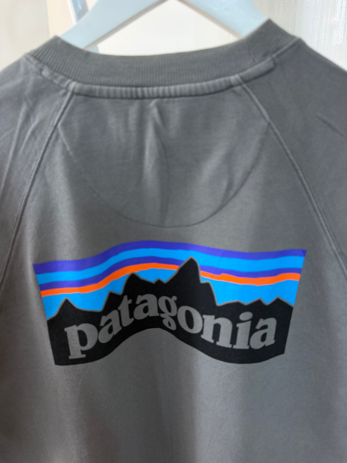 Patagonia grey sweatshirt