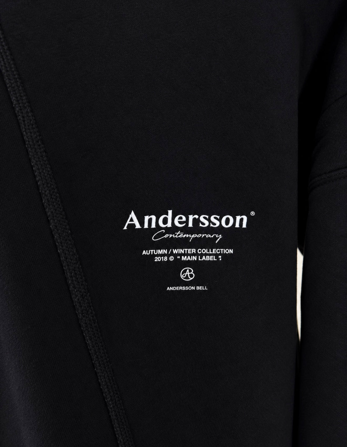 Anderson heavyweight embroidered hoodie
