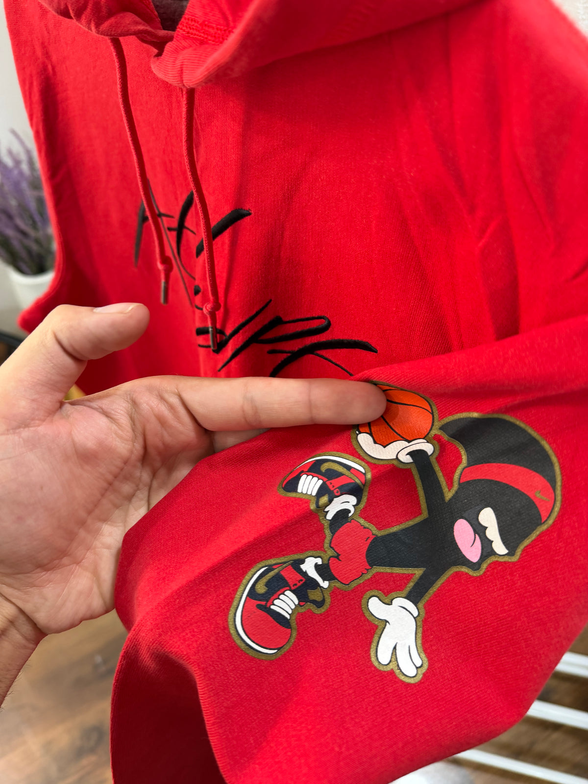 Jordan embroidered hoodie
